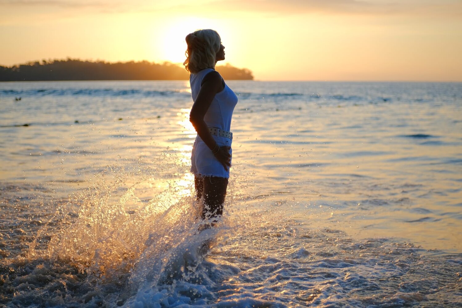 Photo #13888007
