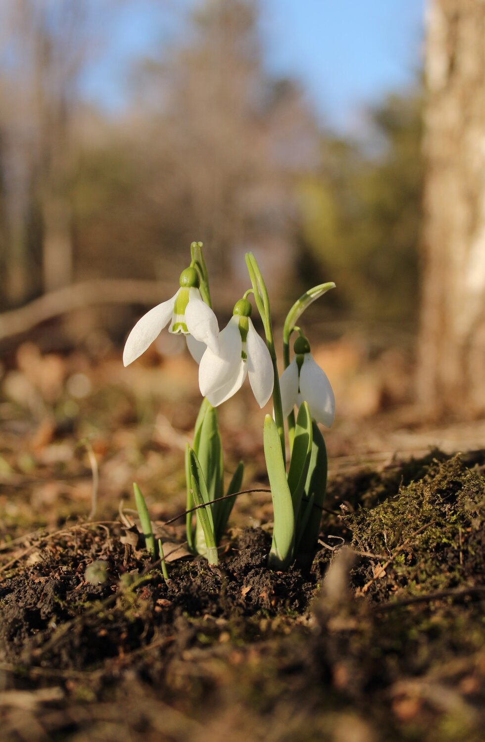 Photo #13888044