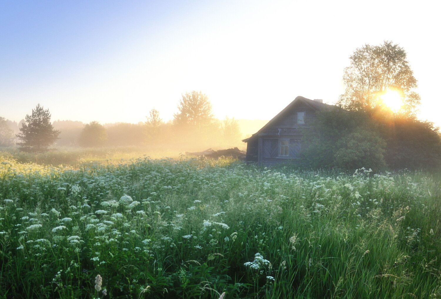 Photo #13888112