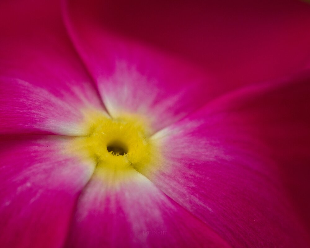 Photograph by iathnaht