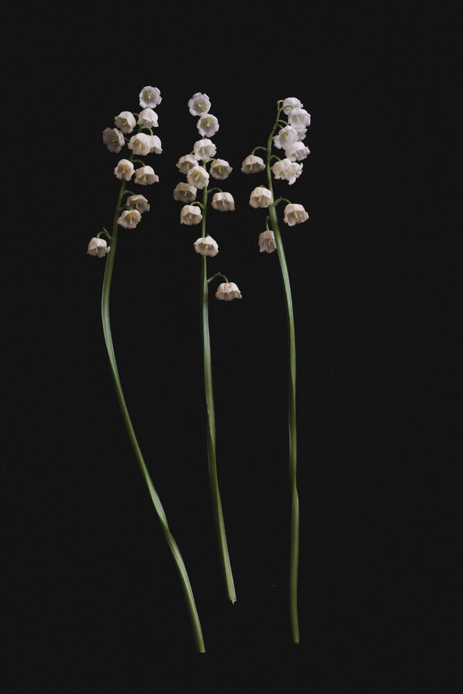 Photograph by Наталья Чурашова