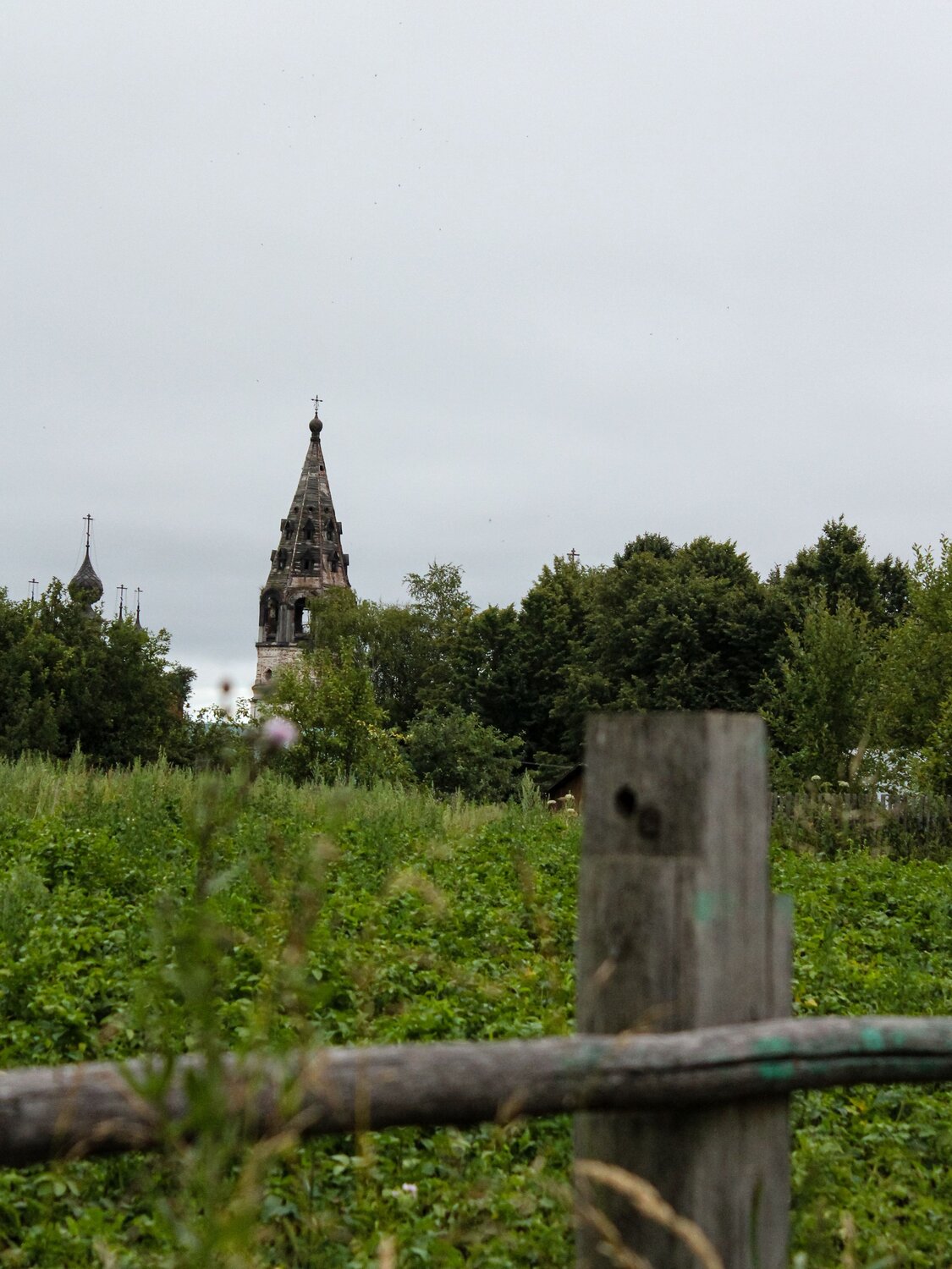 Photo #13888184