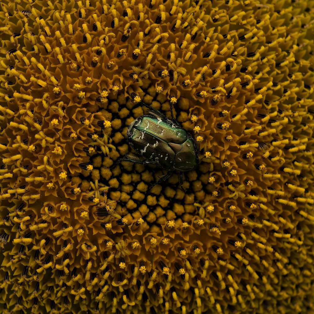 Photograph by Олег Шлыгин