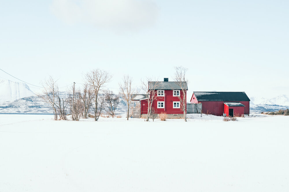 Photograph by Brian Robinson