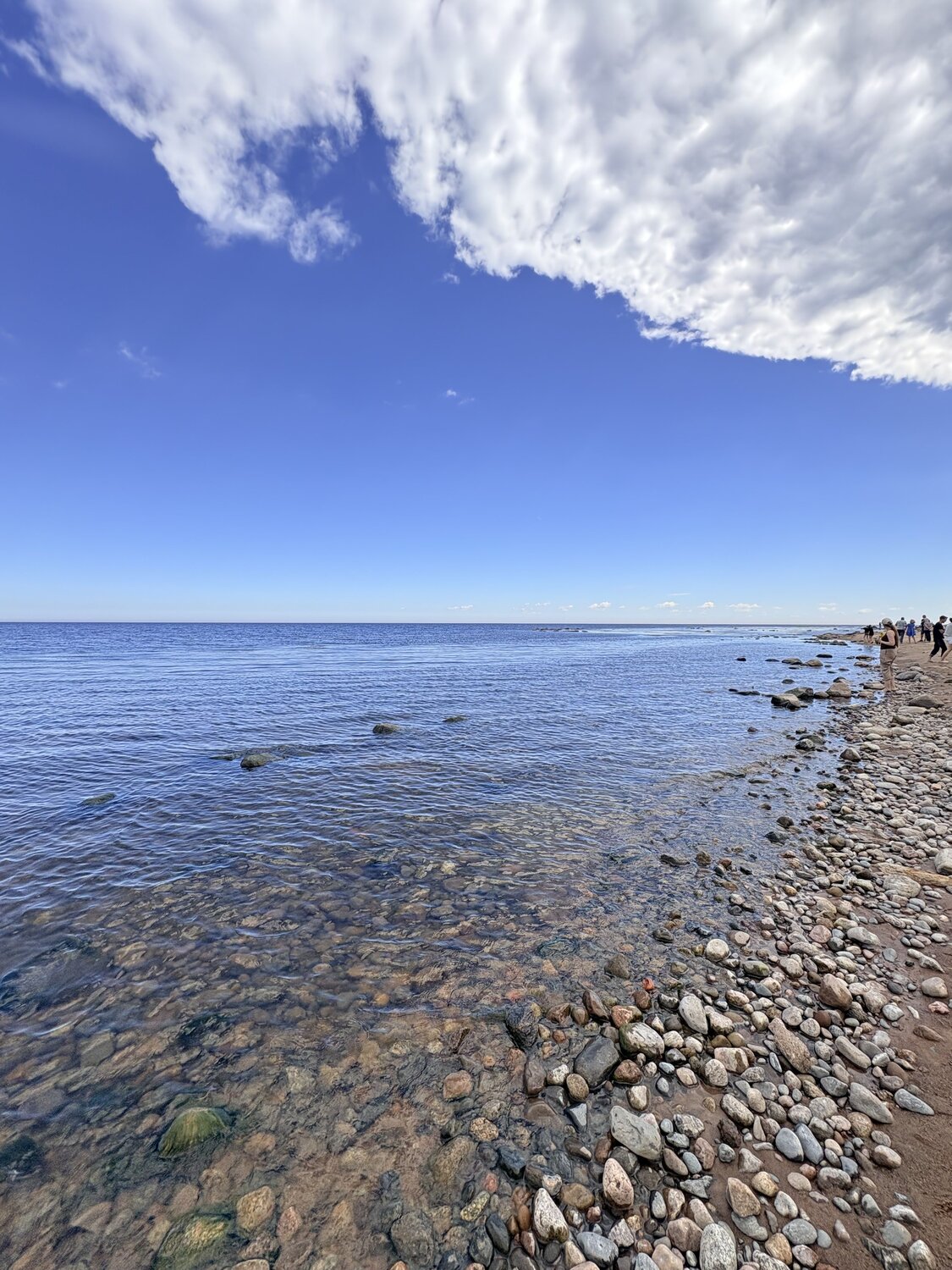 Photo #13888577