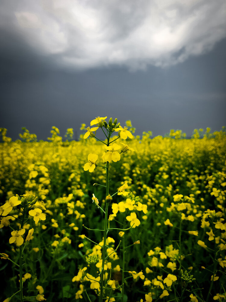 Photograph by Анна Панова