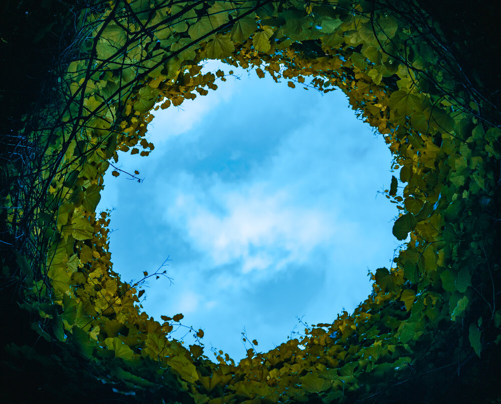 Photograph by Павел Овчаров