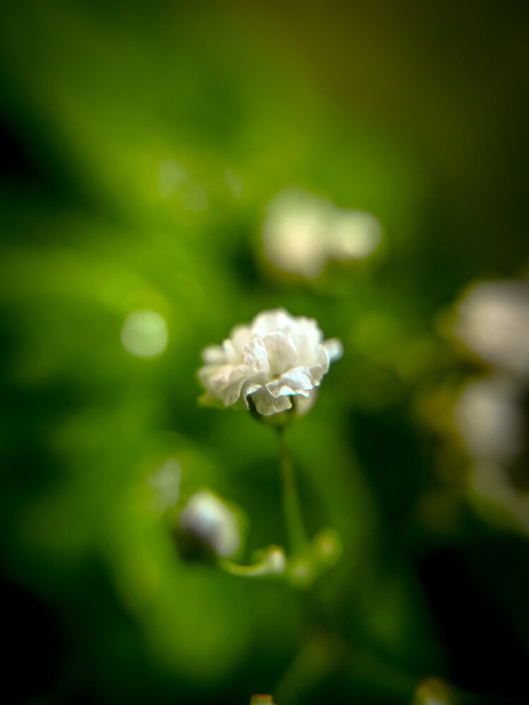 Photograph by Павел Овчаров