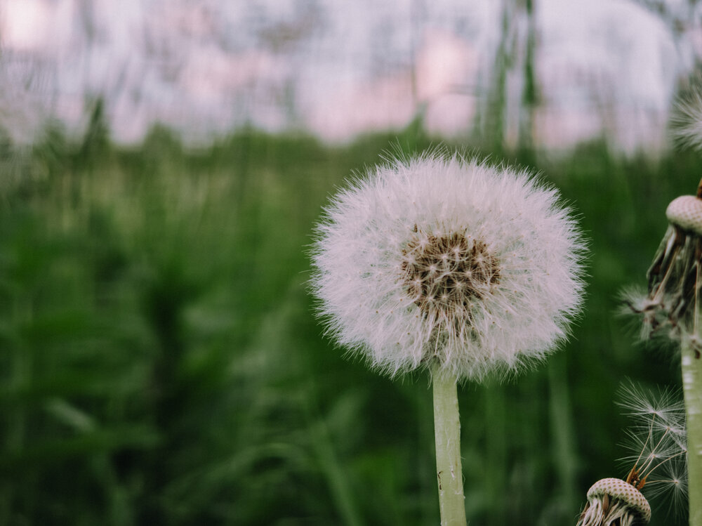 Photograph by Павел Овчаров