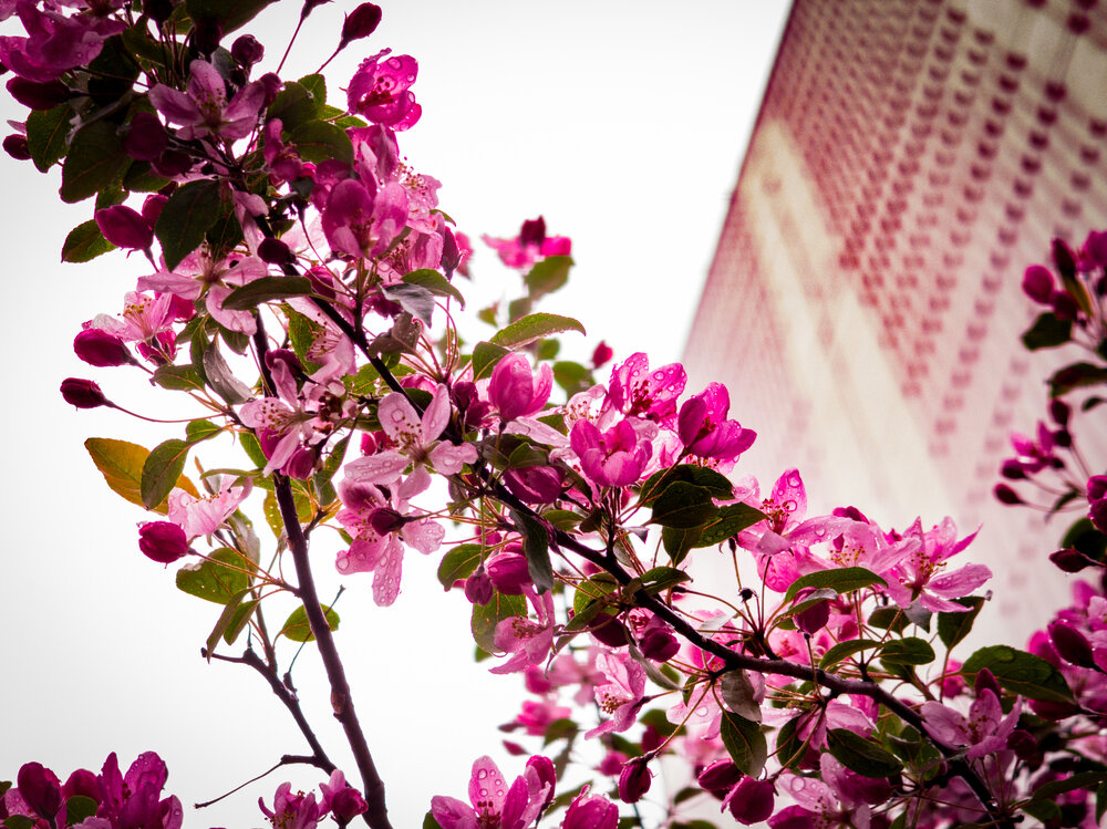 Photograph by Павел Овчаров