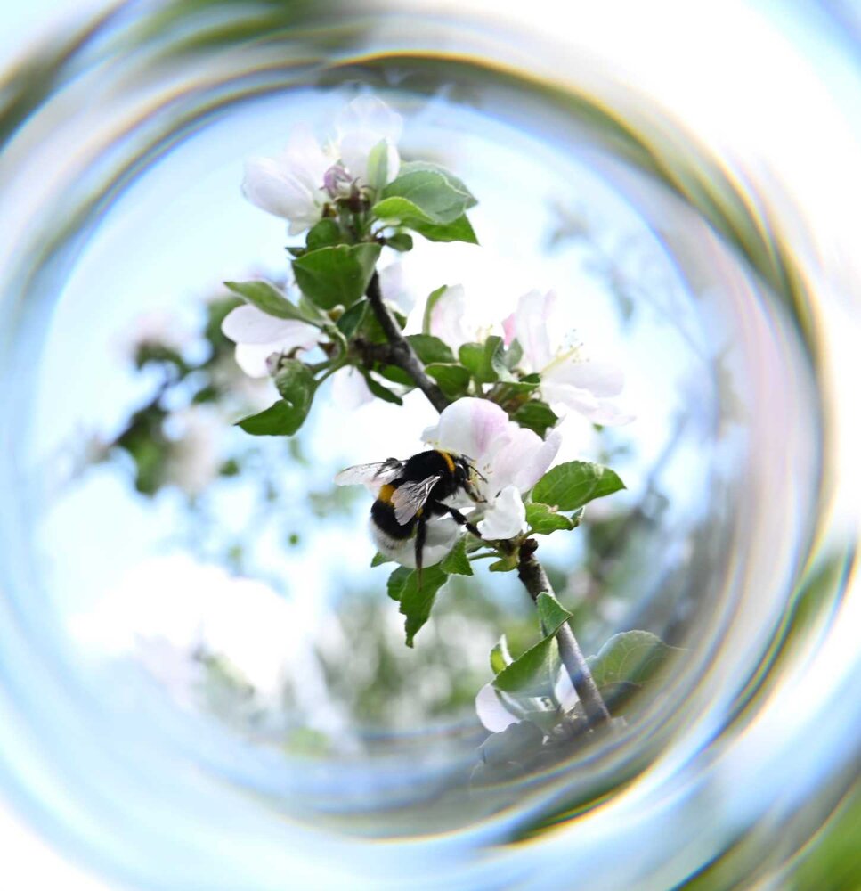 Photograph by Ксения