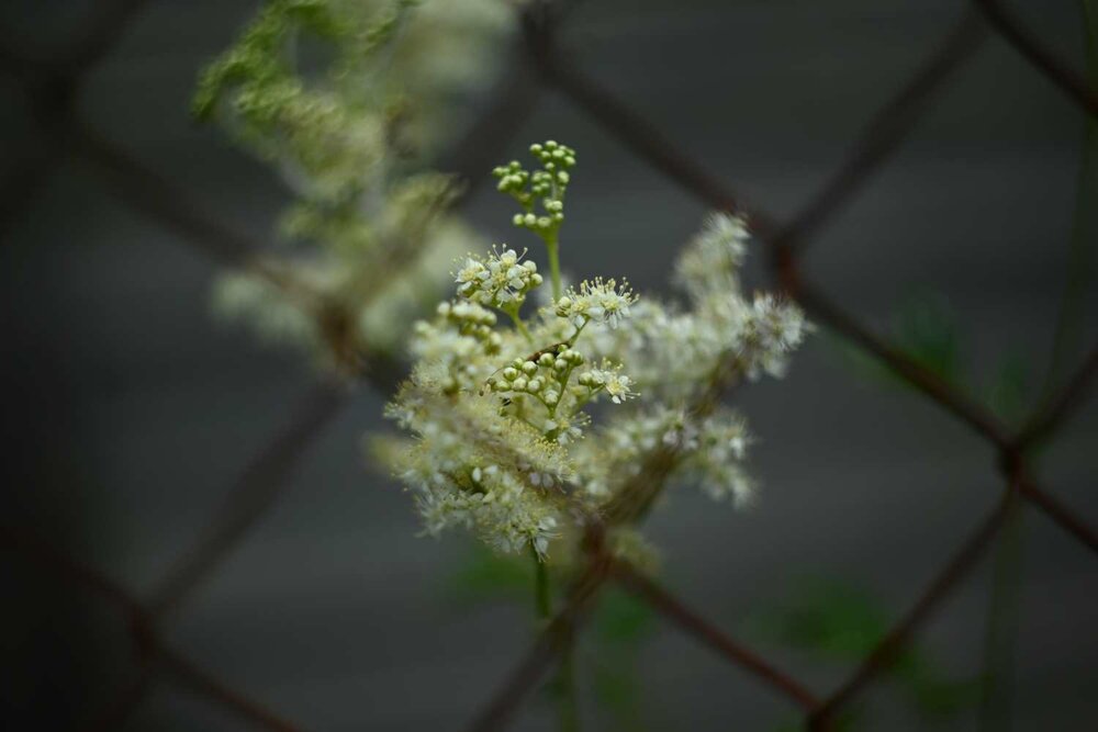 Photograph by Ксения