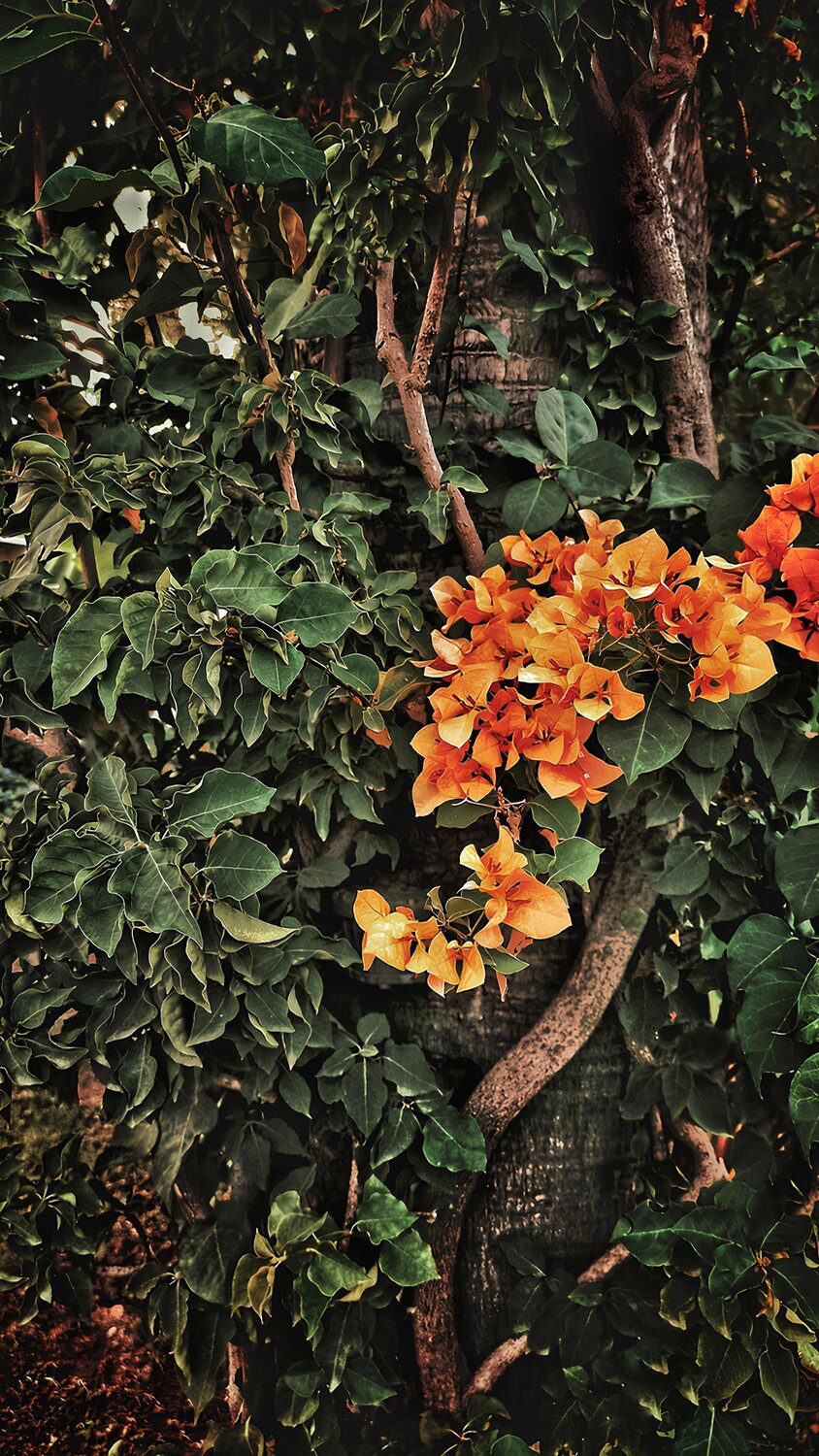 Photo #13888677