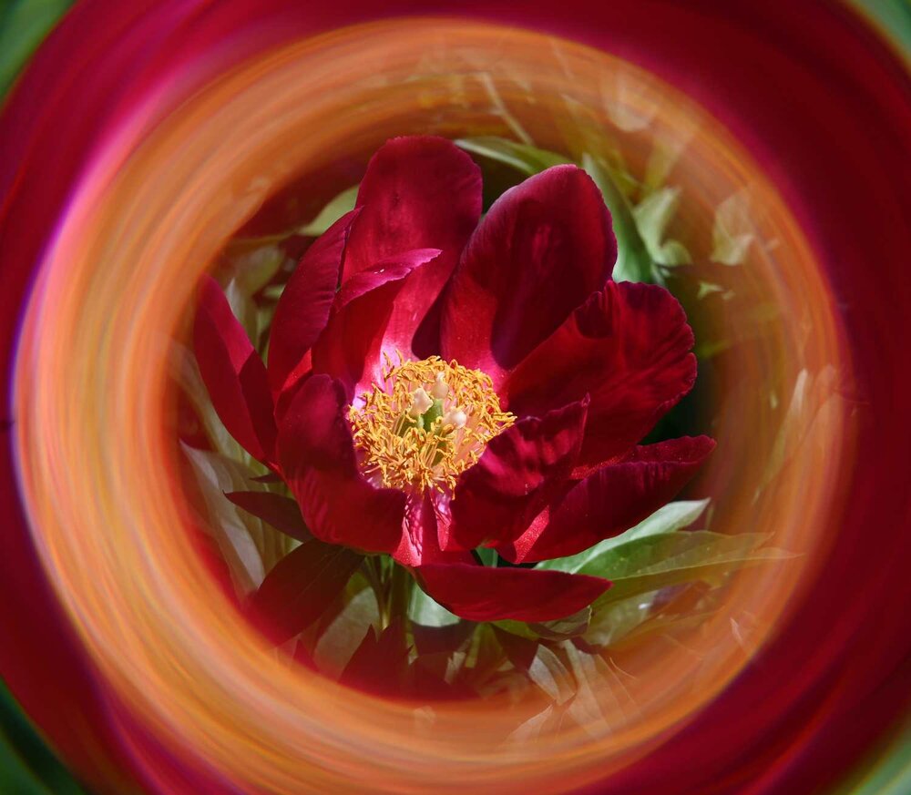 Photograph by Ксения