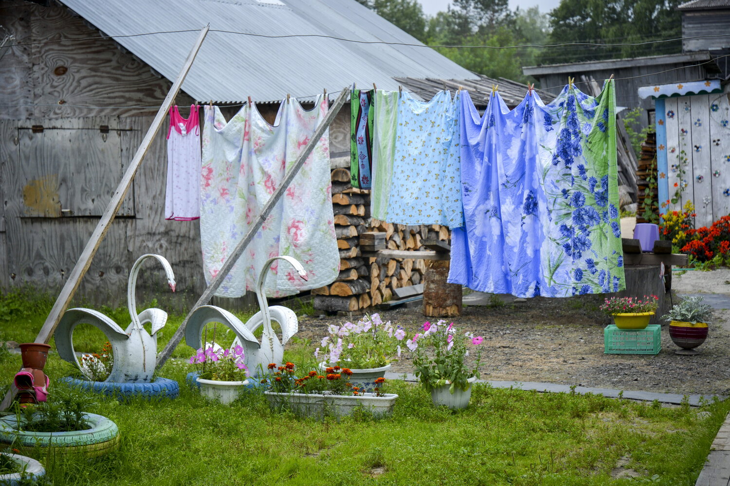 Photo #13888772