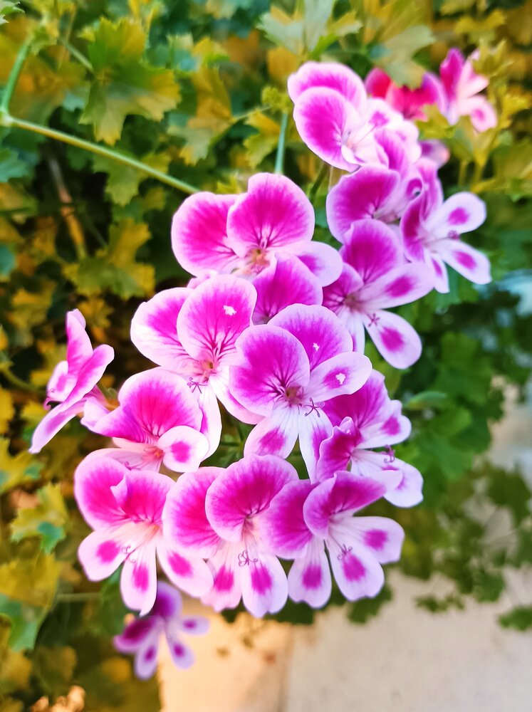 Photograph by Иван