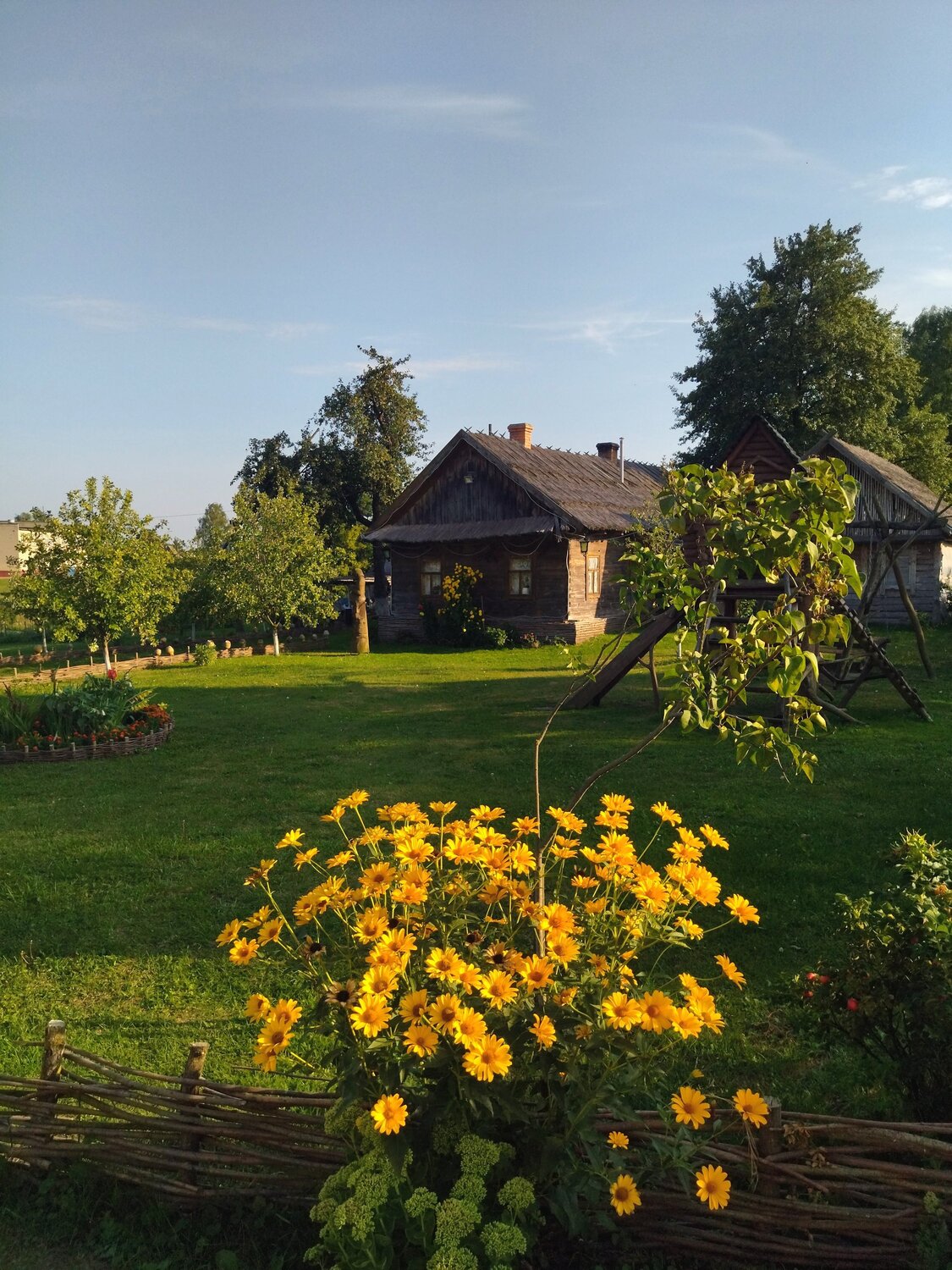 Photo #13888807