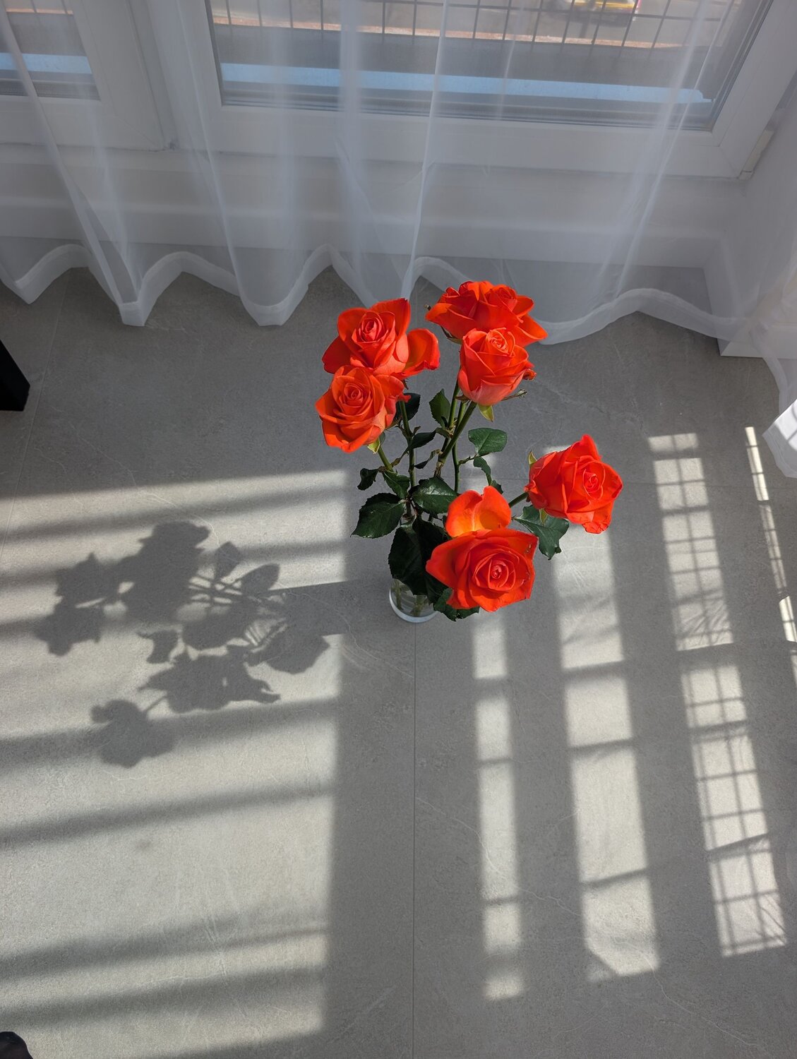Photo #13888890