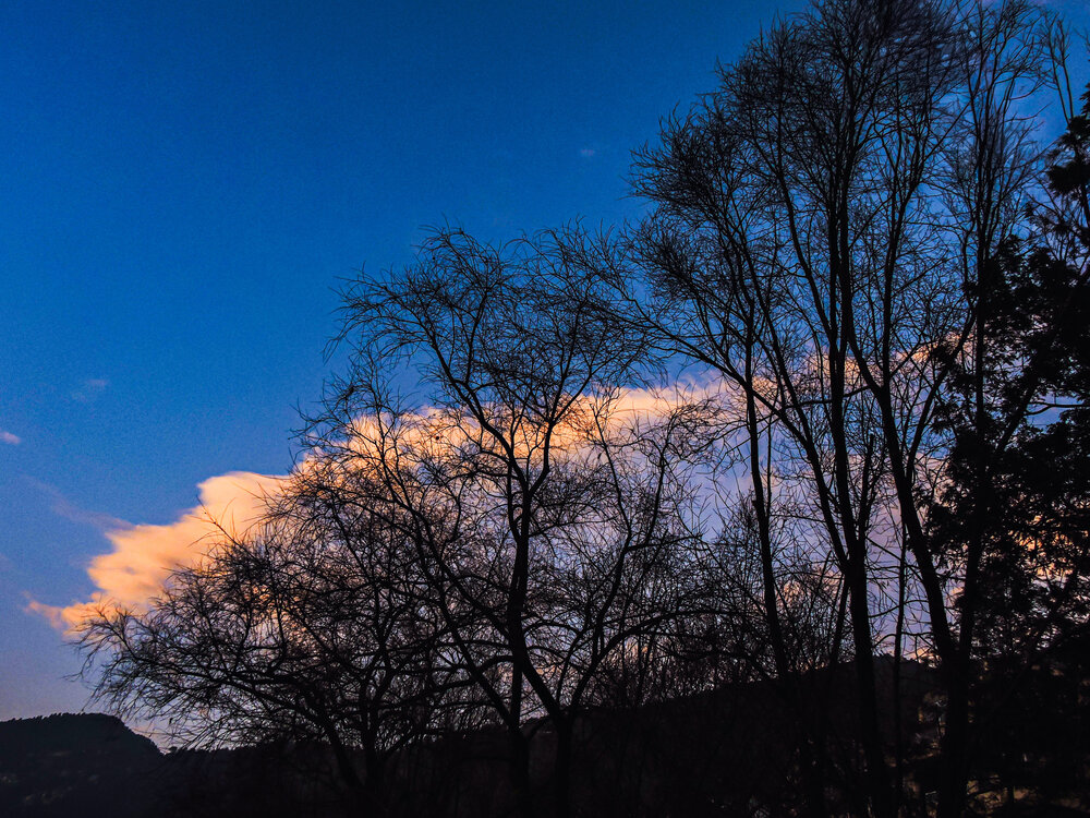 Dreaming in blue