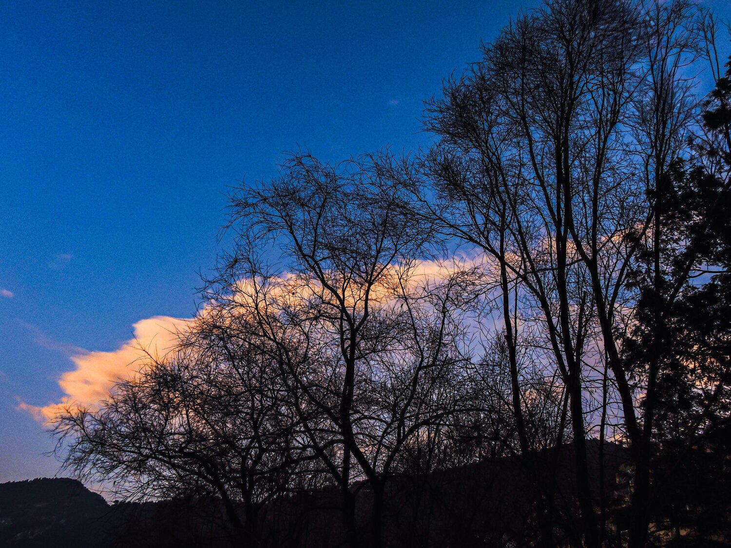 Dreaming in blue