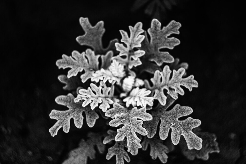 Photograph by Елена Андреева