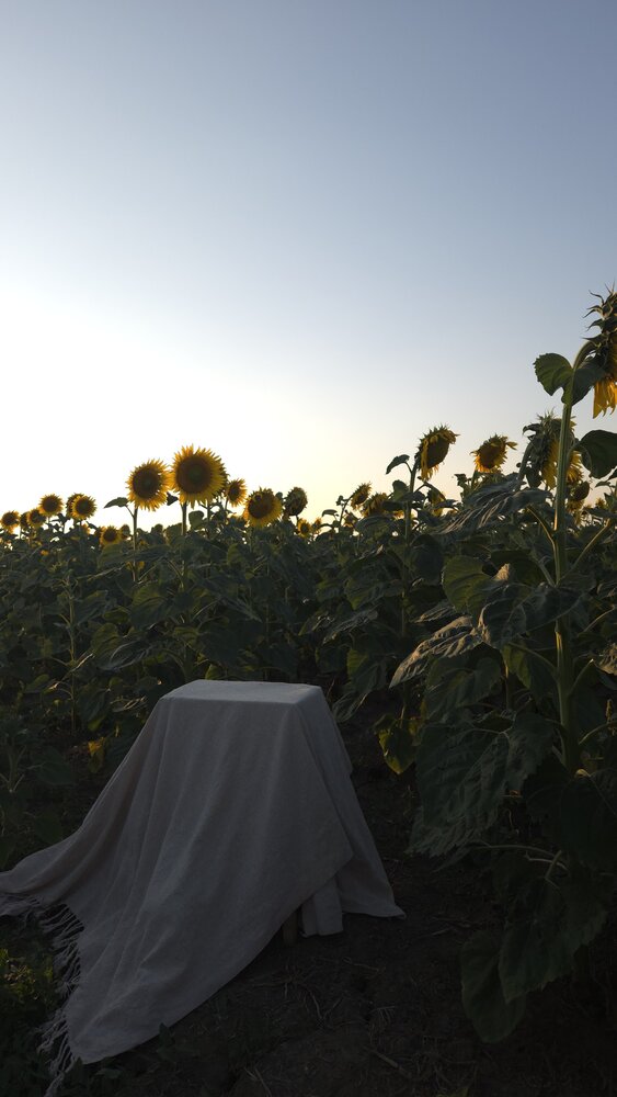 Photo #13889028