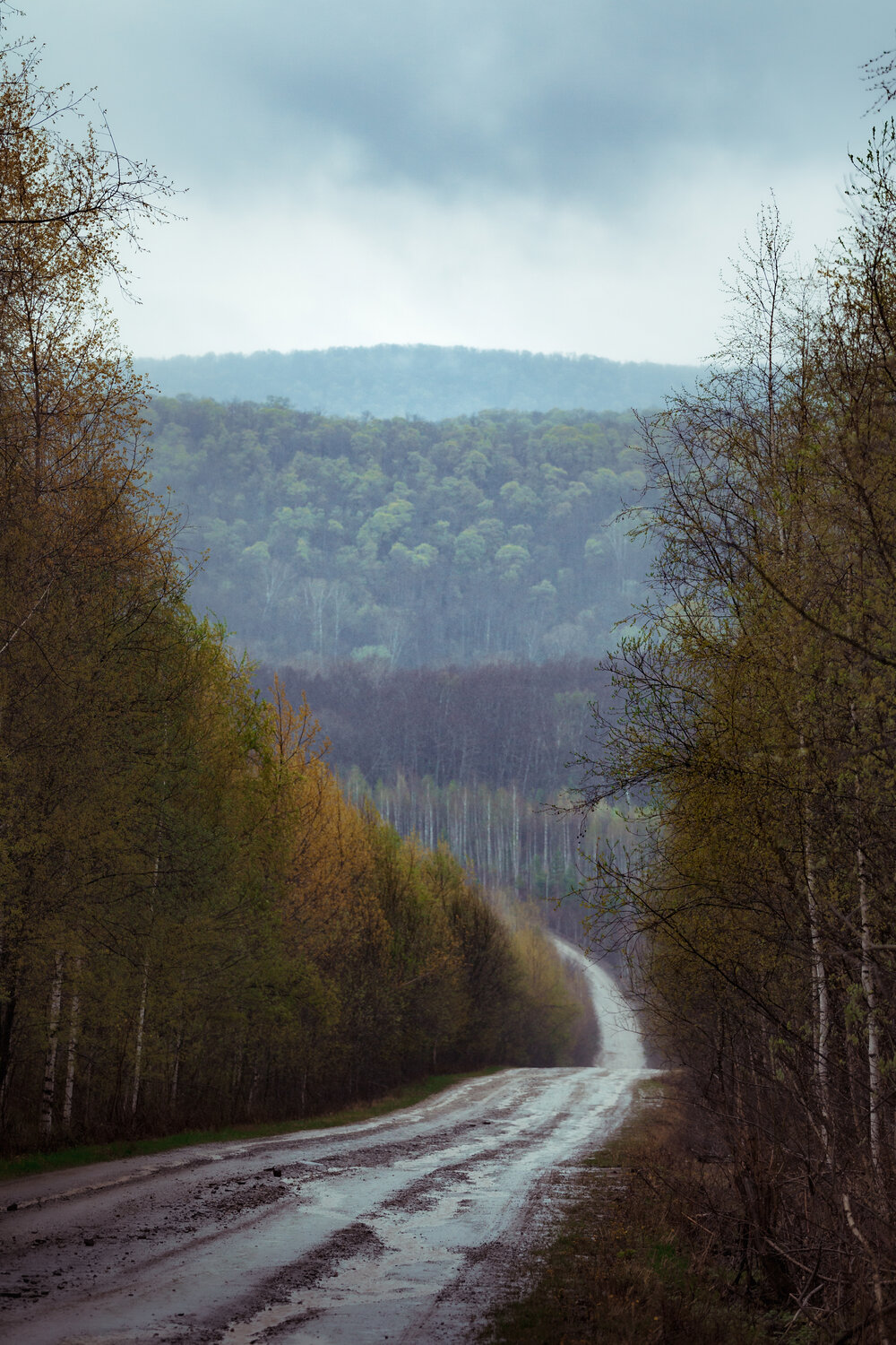 Photo #13889033