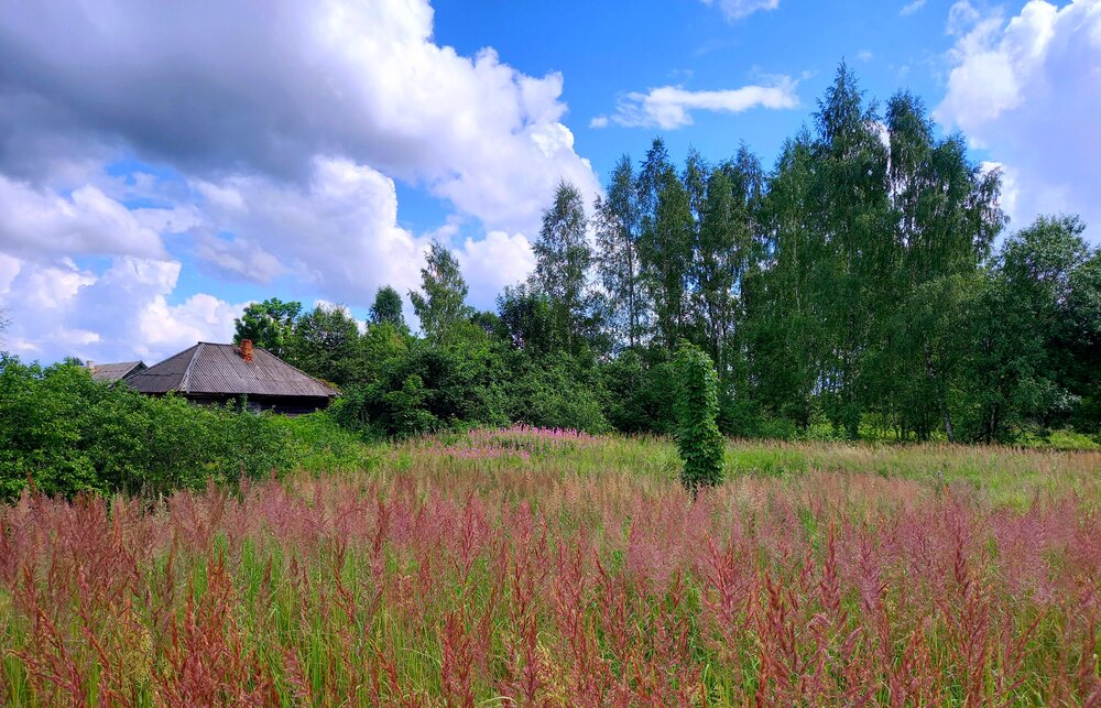 Photograph by Ольга Юрченко