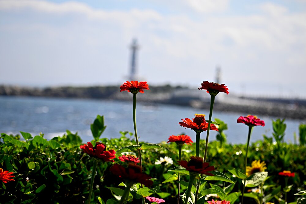 Photograph by Игорь Седунов