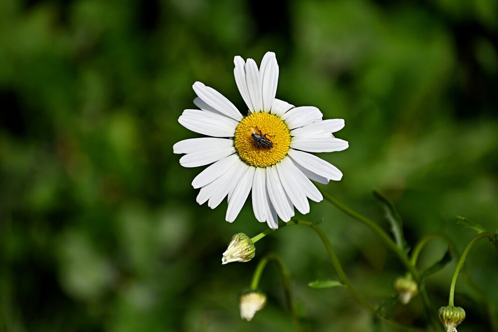 Photograph by Игорь Седунов