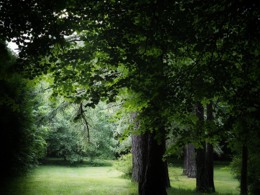 Photograph by Olga Asson