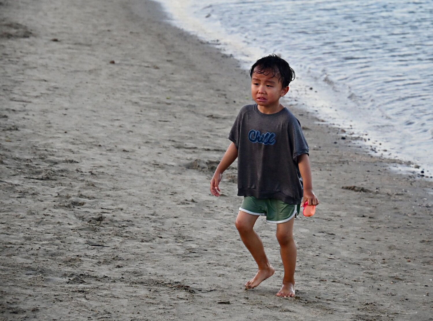 Photo #13889144