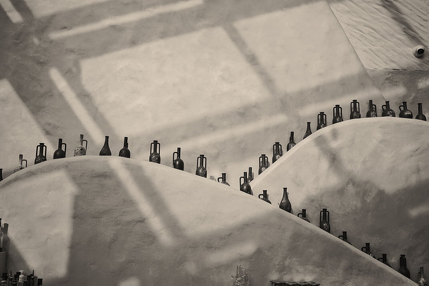 Photo #13889192