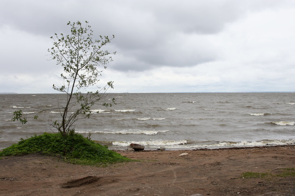 Photograph by Мария Пичугина