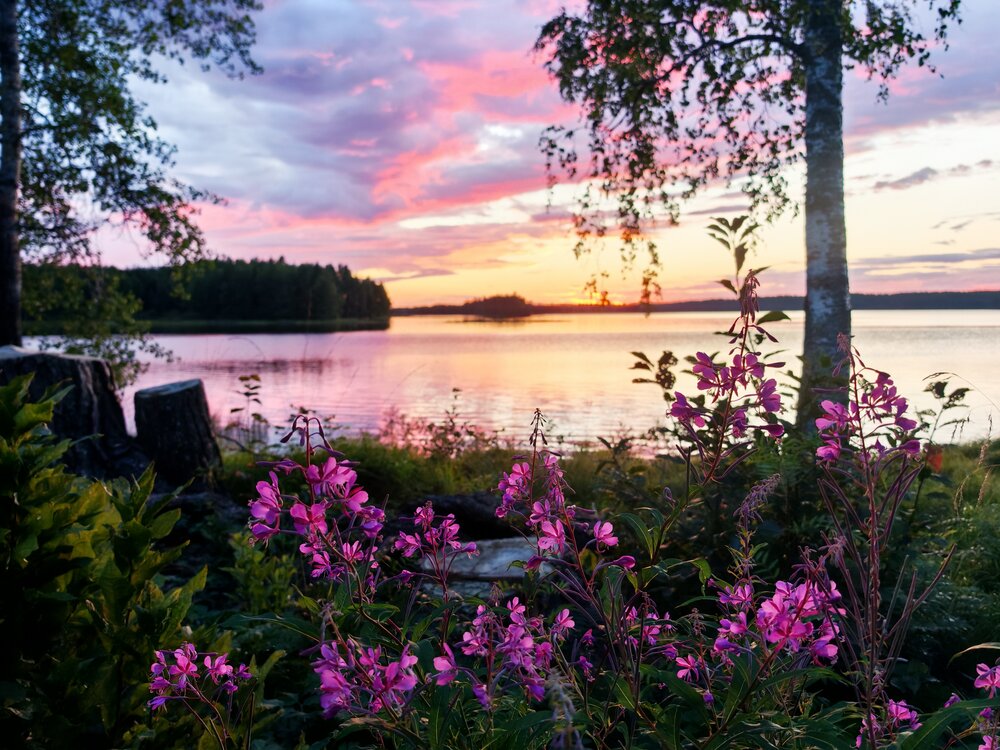 Photo #13889265