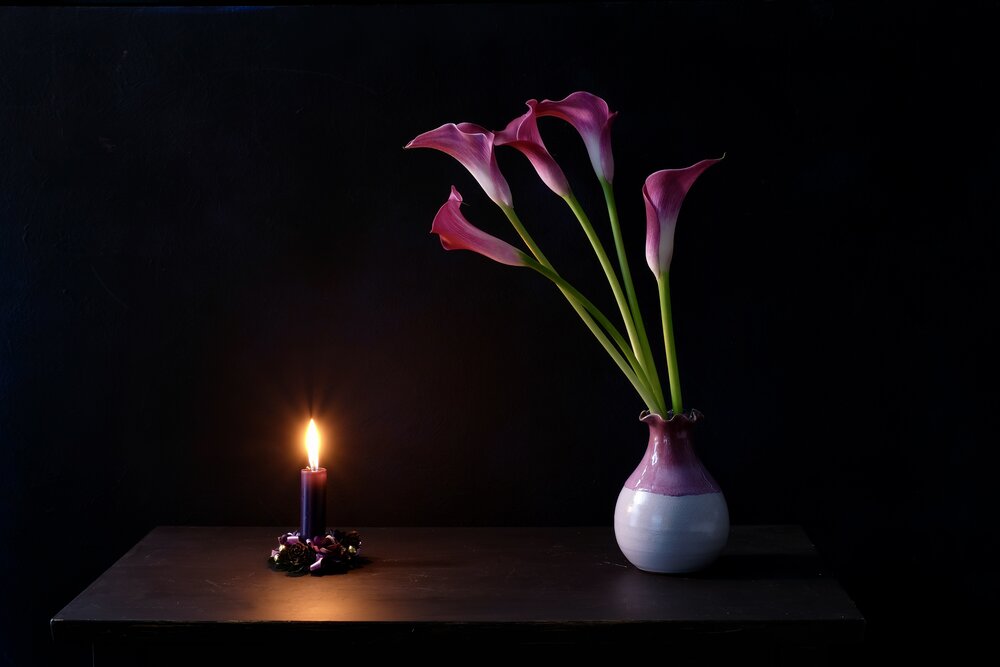 The grace of the calla lily