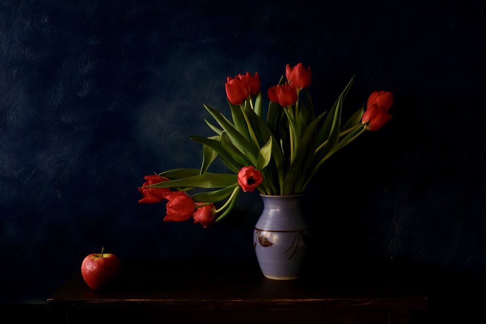 Red tulips