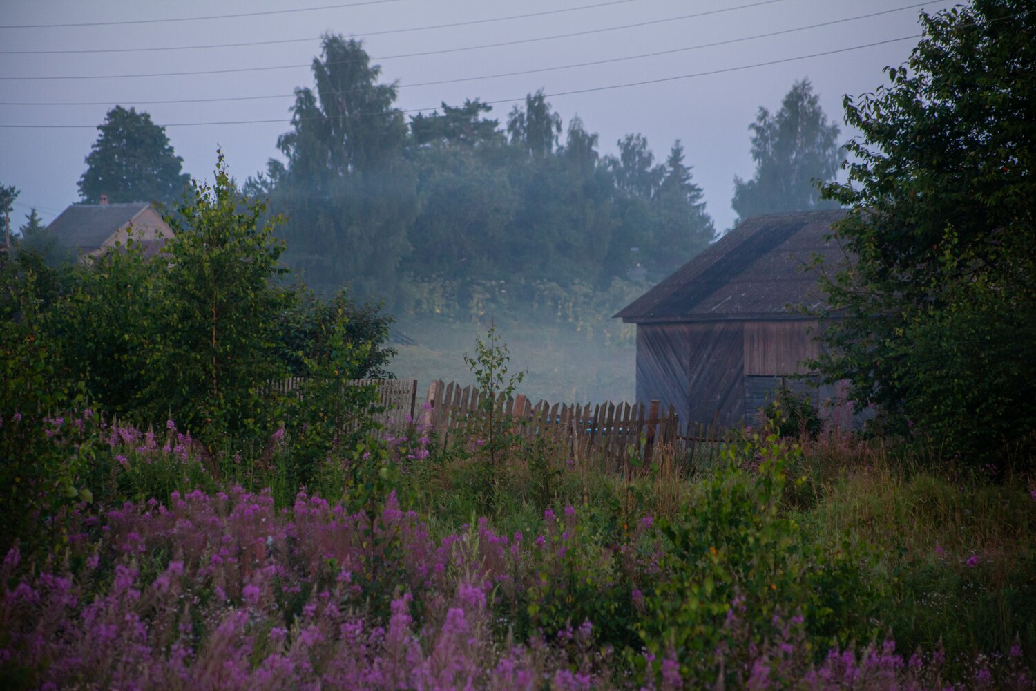 Photo #13889297