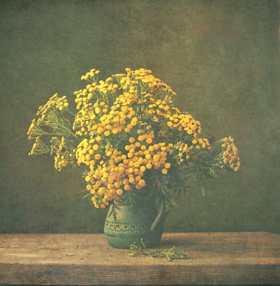 Photograph by Антонина Шабышева