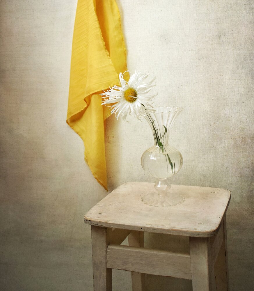 Photograph by Антонина Шабышева