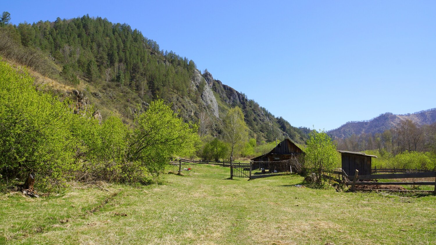Photo #13889314