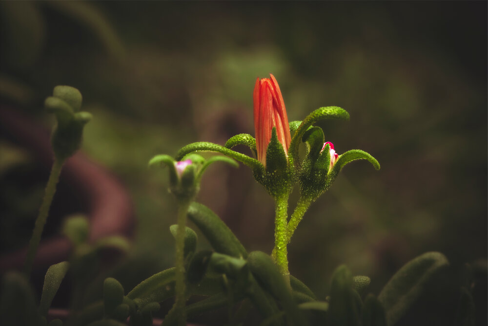 Photograph by Николай Xxxxxx