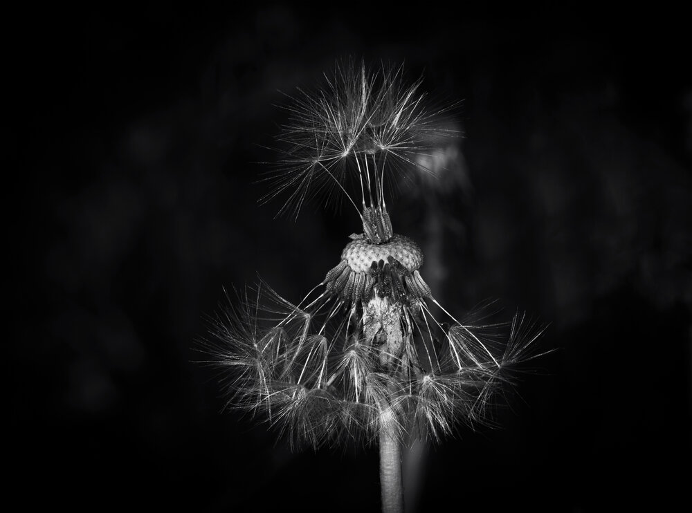 Photograph by Николай Xxxxxx