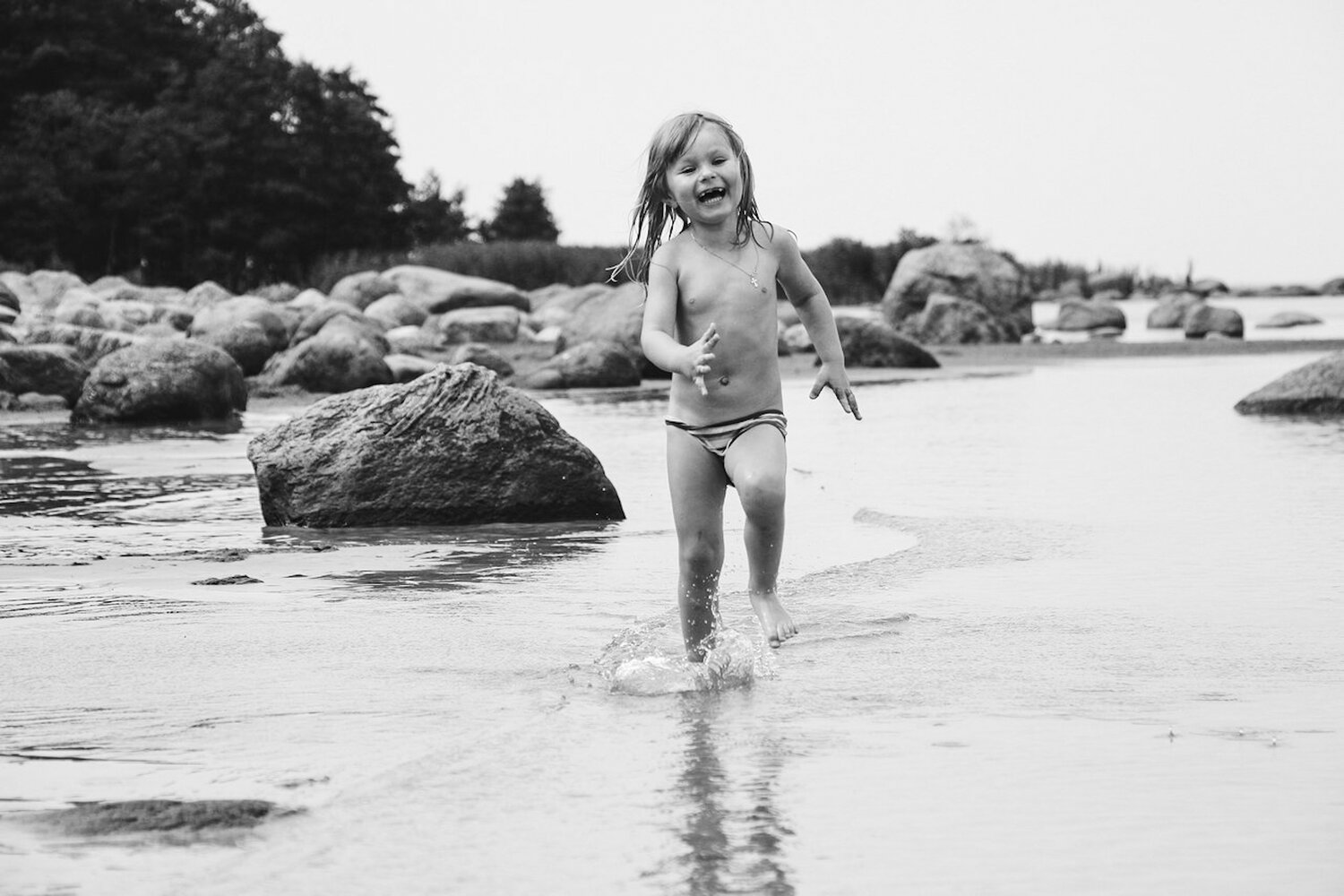 Photo #13889382
