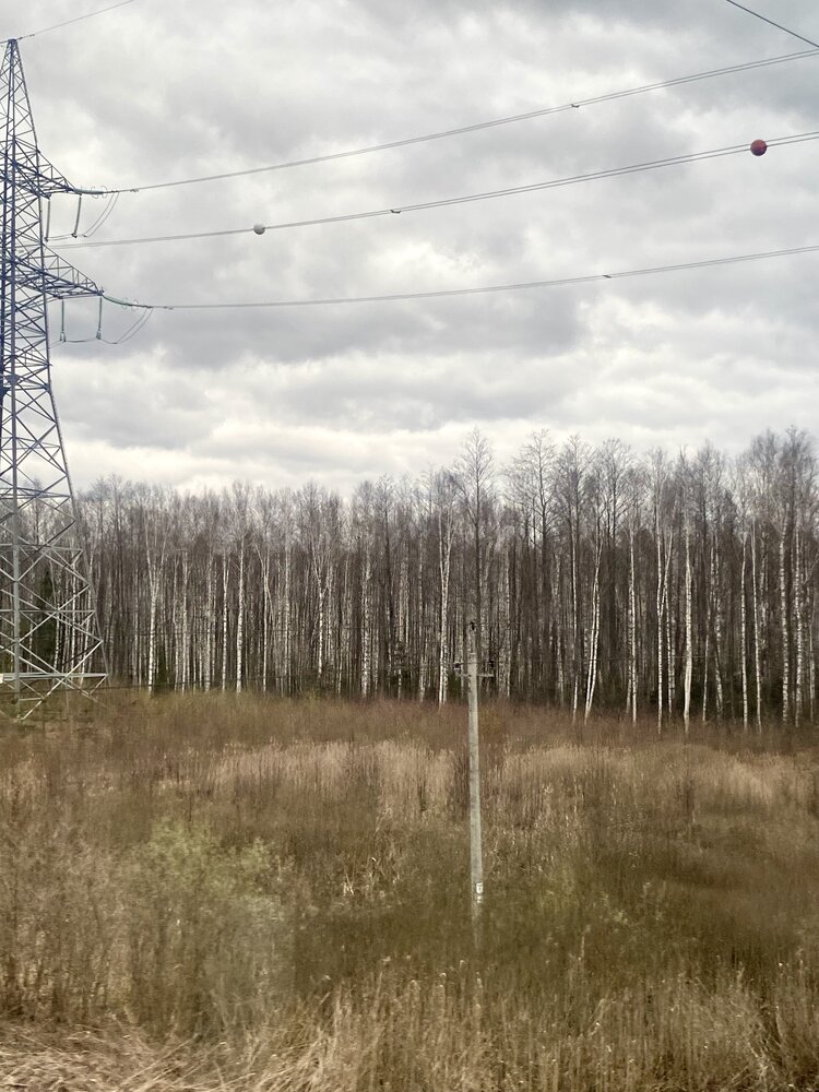 Фотография автора Наталья Мартынова