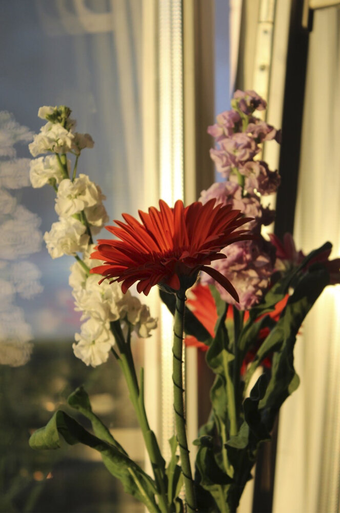 Photograph by Дарья Антоновна