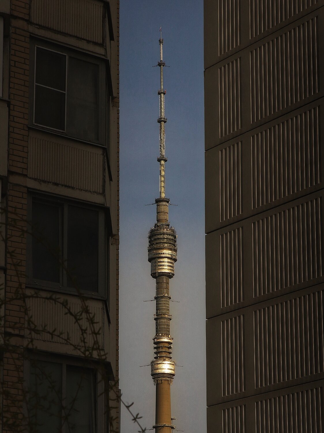 Photo #13889502