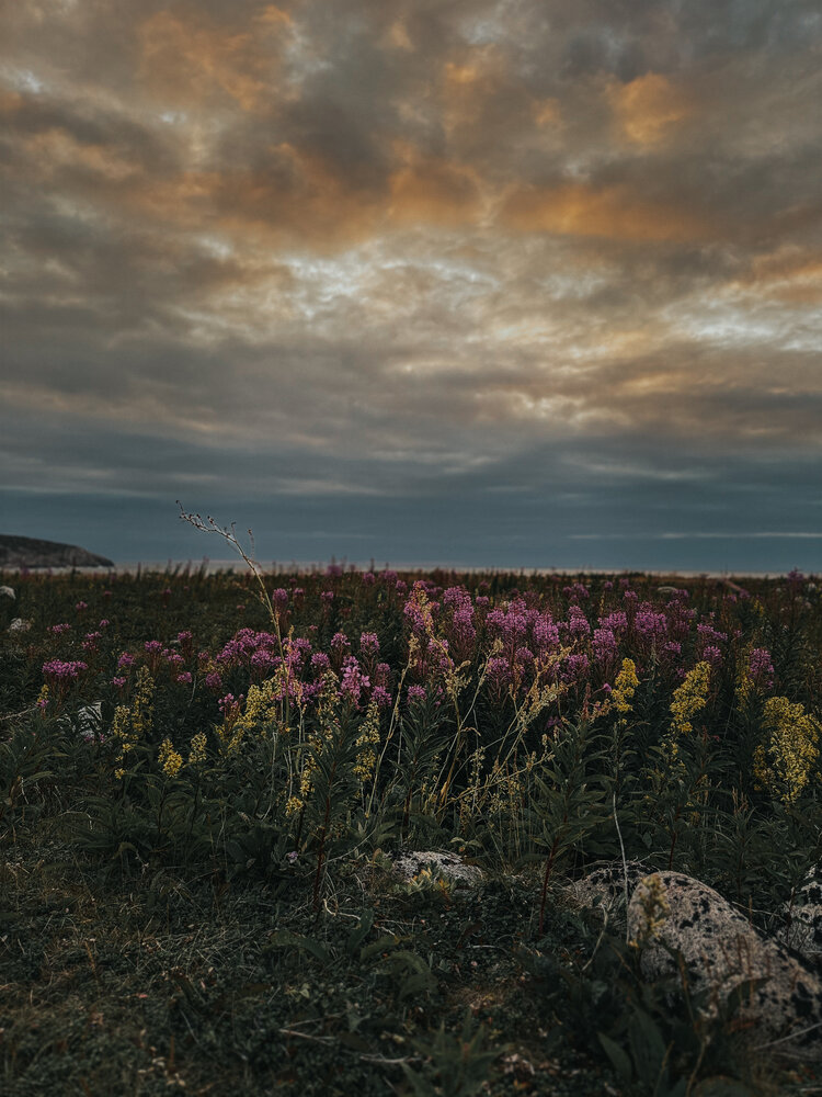 Фотография автора Святослав Комаров