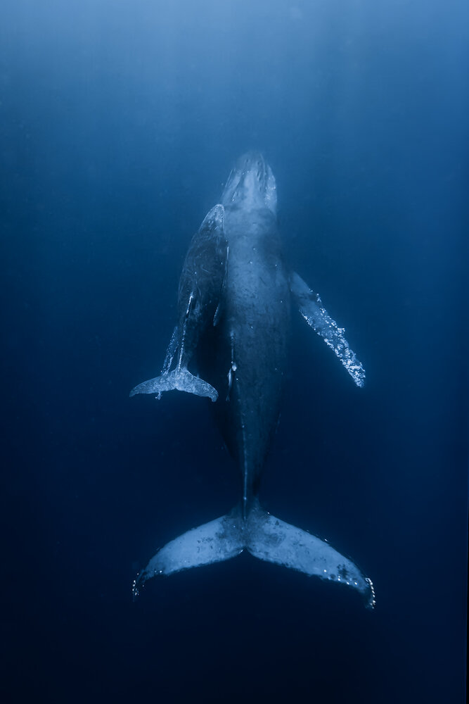 Photograph by nishijima takayuki