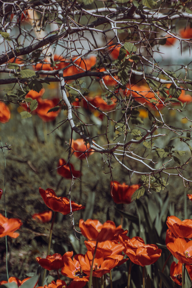Photograph by Александр Лиманский